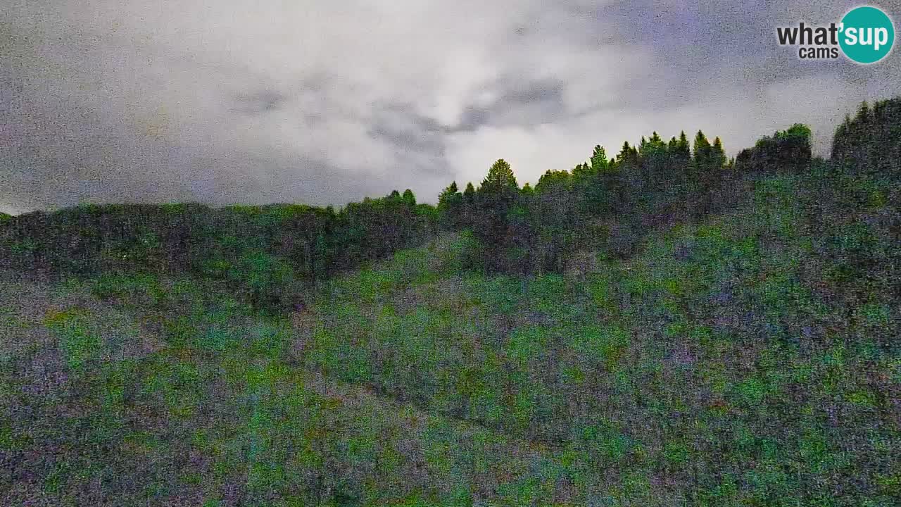 Webcam Smučišče Senožeta – Ski Resort Live View near Bohinj