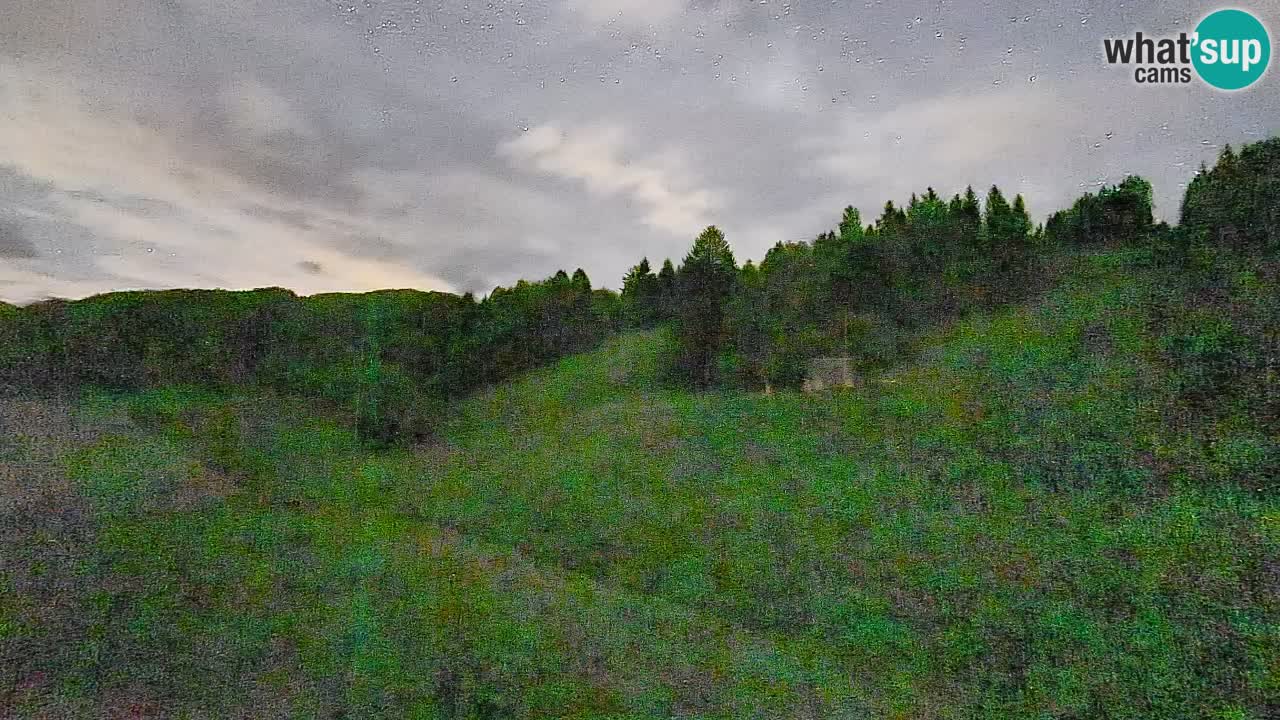 Webcam Smučišče Senožeta – Ski Resort Live View near Bohinj