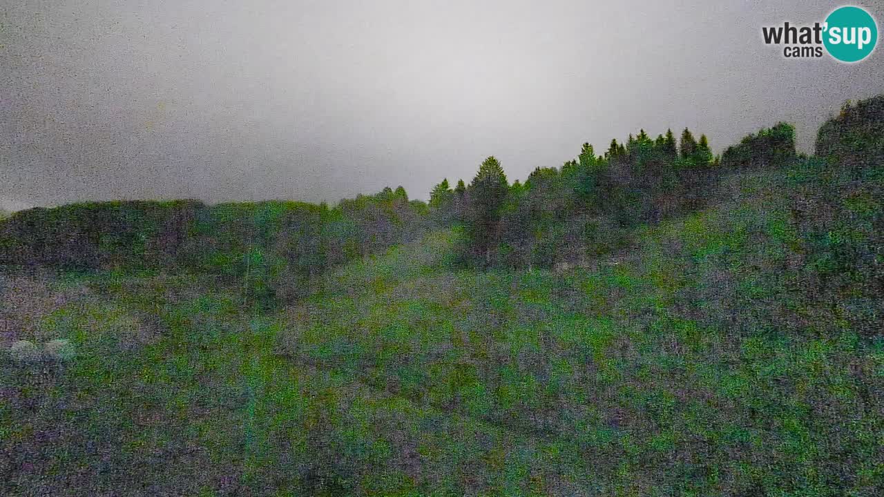 Webcam Smučišče Senožeta – Ski Resort Live View near Bohinj