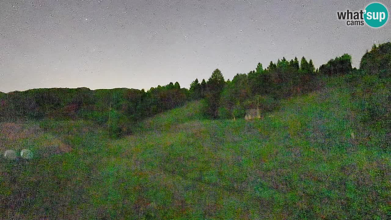 Webcam Smučišče Senožeta – Stazione sciistica a Srednja Vas vicino Bohinj