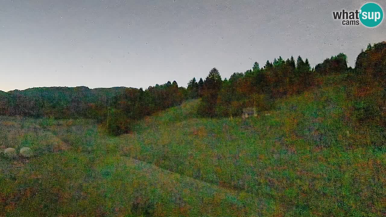 Webcam Smučišče Senožeta – Ski Resort Live View near Bohinj