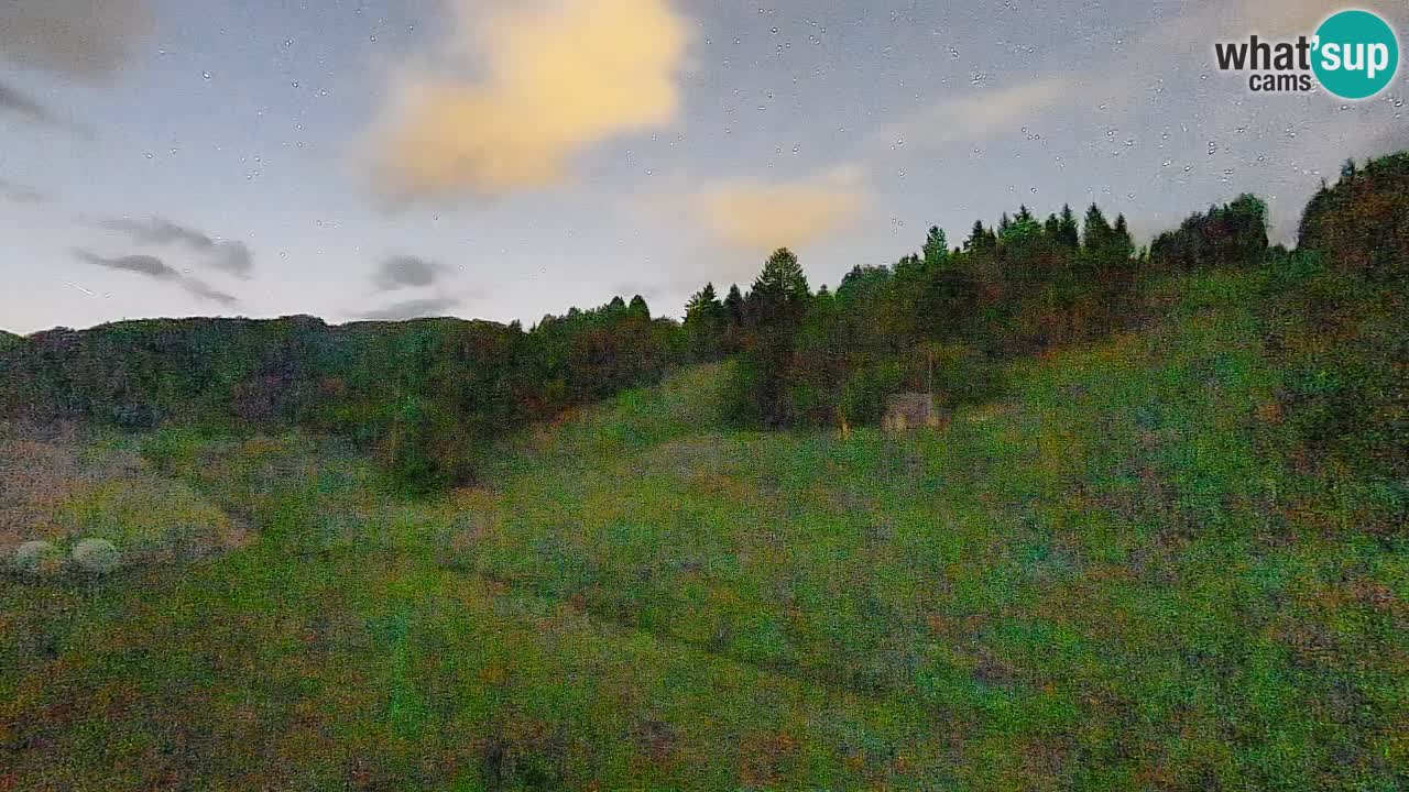 Cámara web Smučišče Senožeta – Estación de esquí en Srednja Vas cerca de Bohinj