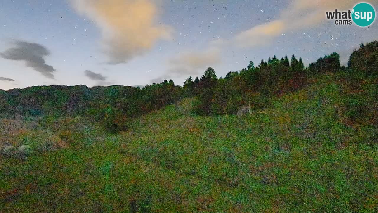Webcam Smučišče Senožeta – Ski Resort Live View near Bohinj