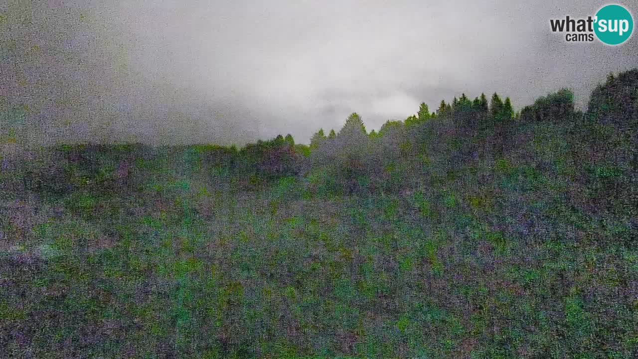 Webcam Smučišče Senožeta – Ski Resort Live View near Bohinj