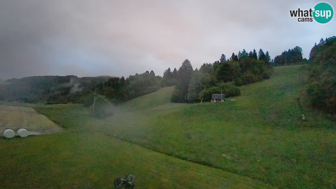Webcam Smučišče Senožeta – Ski Resort Live View near Bohinj