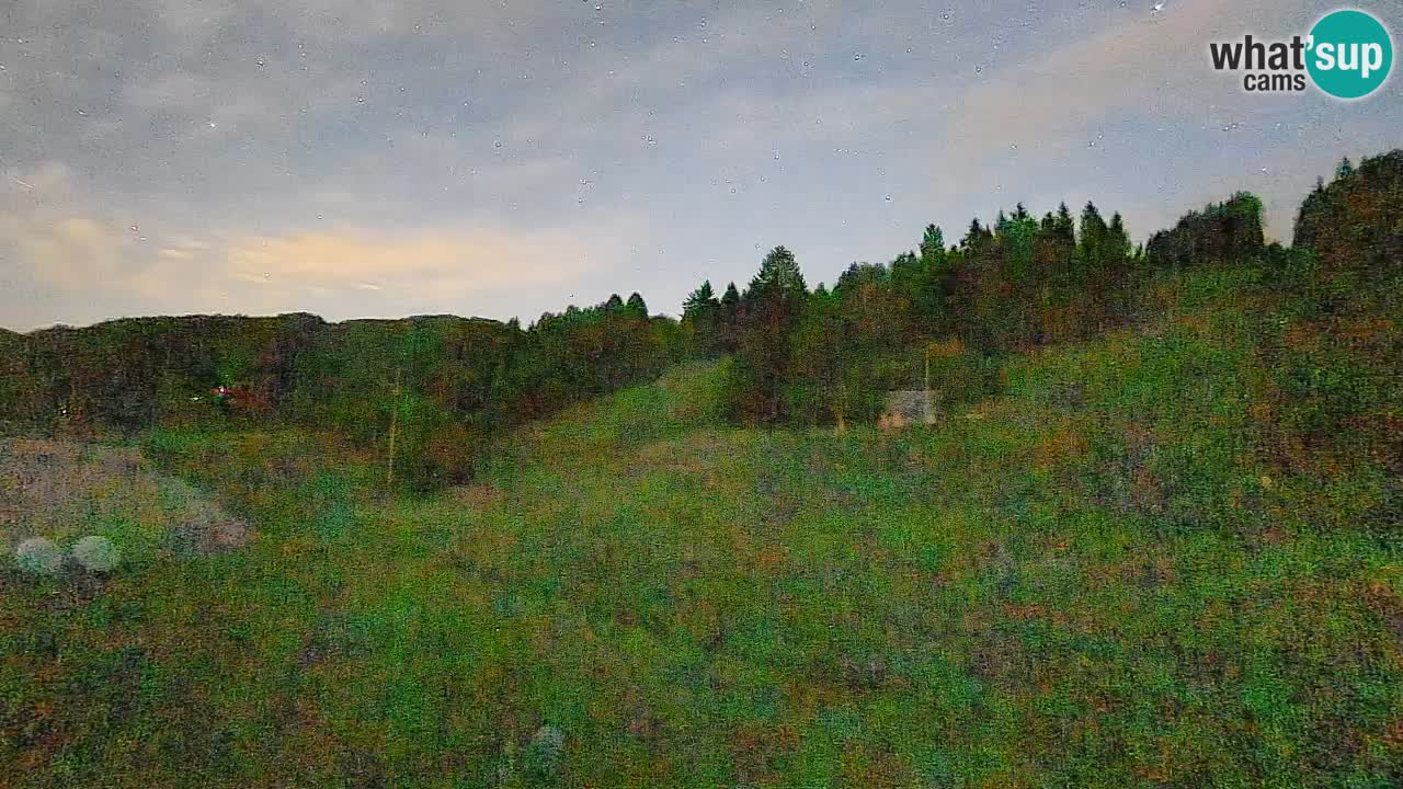 Webcam Smučišče Senožeta – Ski Resort Live View near Bohinj