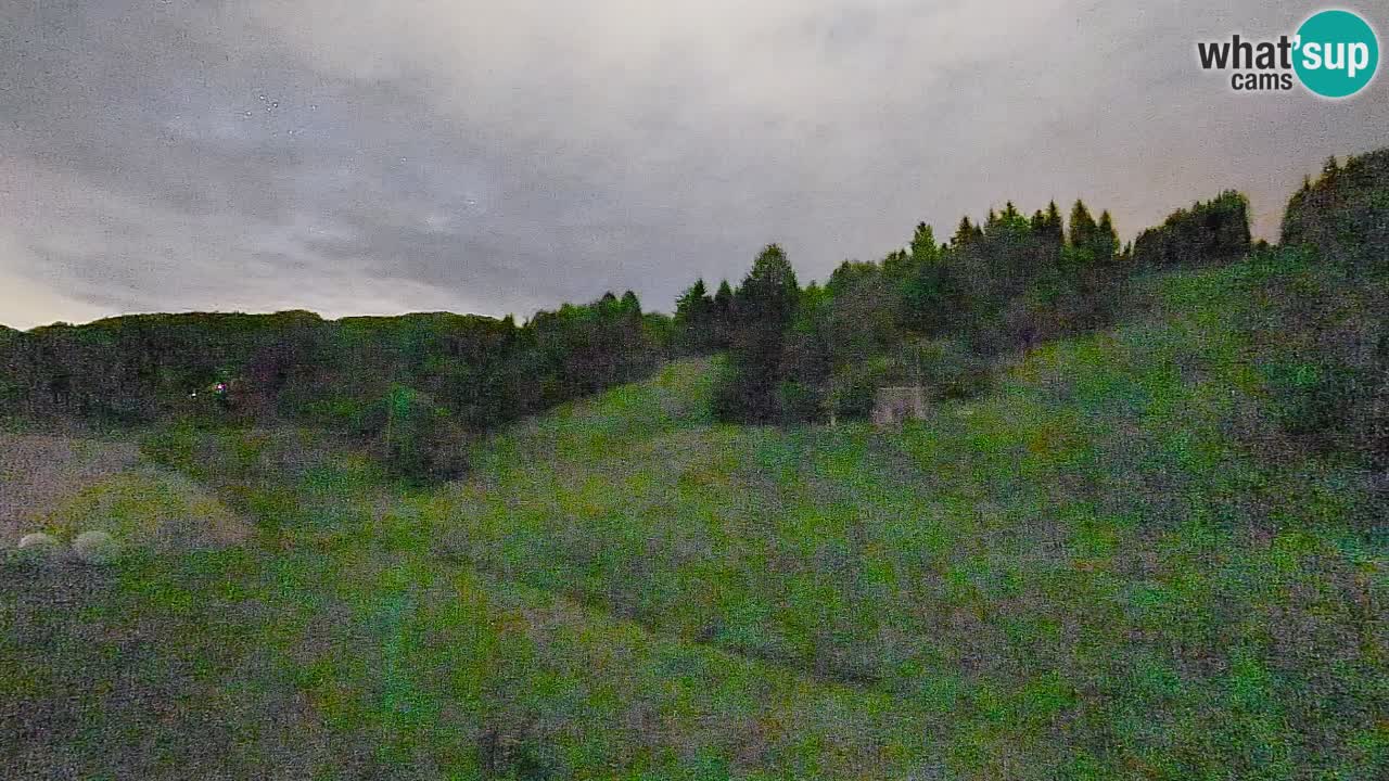 Webcam Smučišče Senožeta – Ski Resort Live View near Bohinj