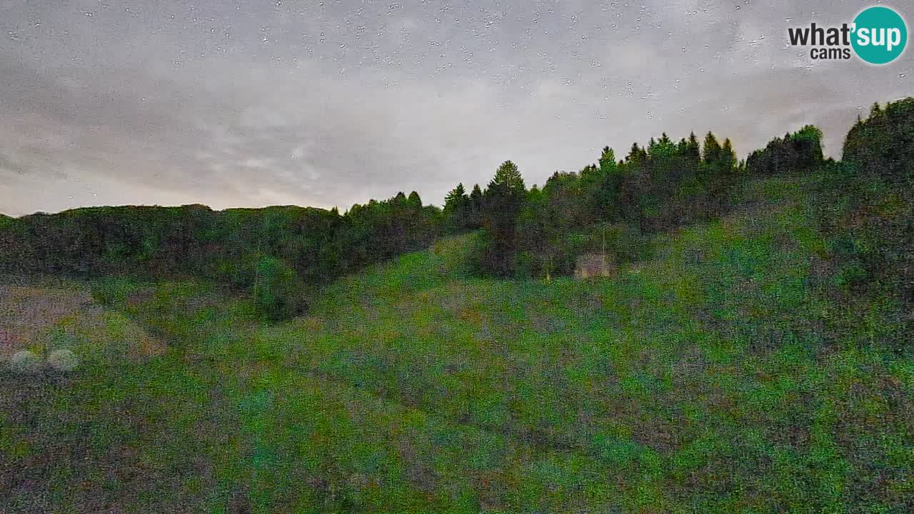 Webcam Smučišče Senožeta – Stazione sciistica a Srednja Vas vicino Bohinj