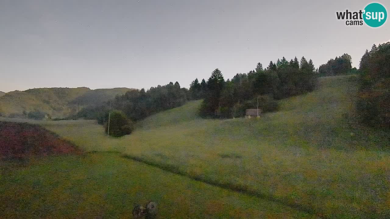 Webcam Smučišče Senožeta – Ski Resort Live View near Bohinj