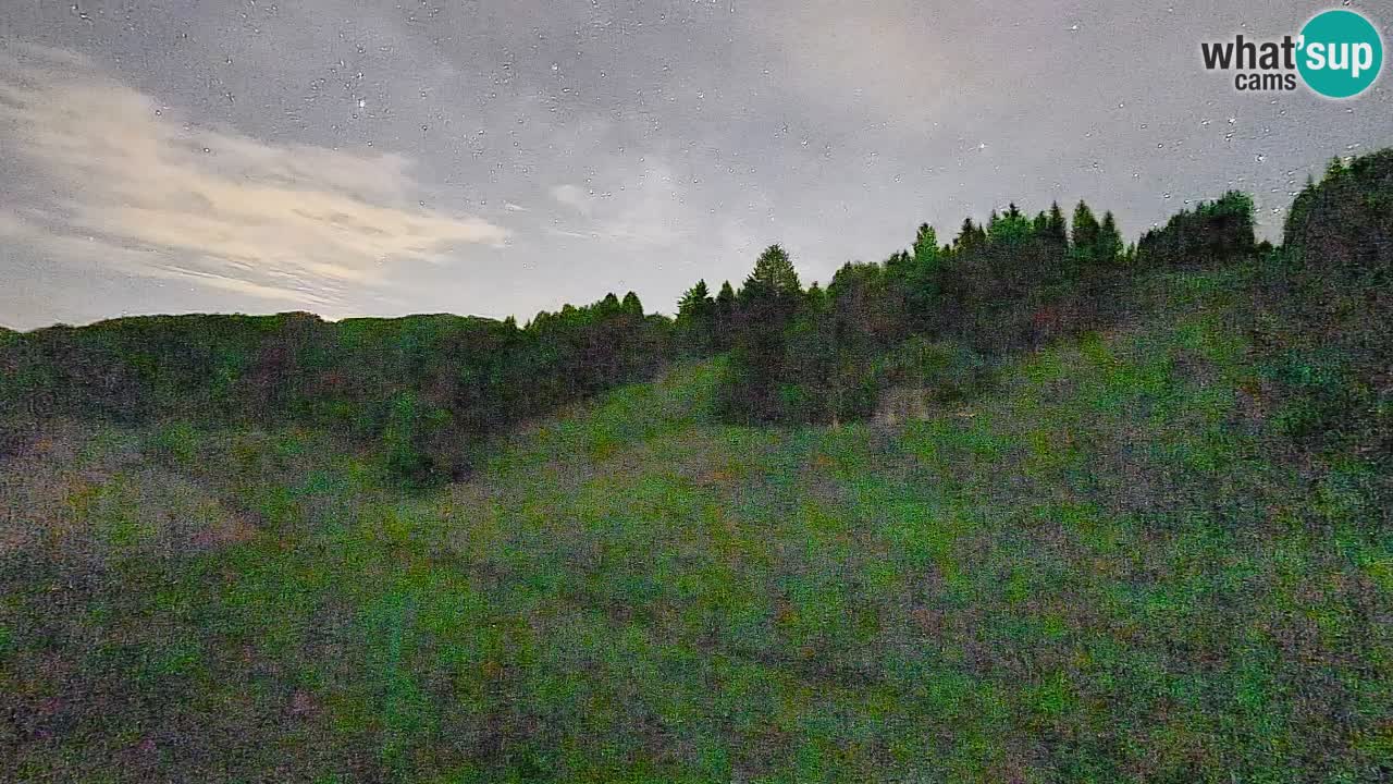 Web kamera Smučišče Senožeta – Skijalište u Srednjoj Vasi kod Bohinja
