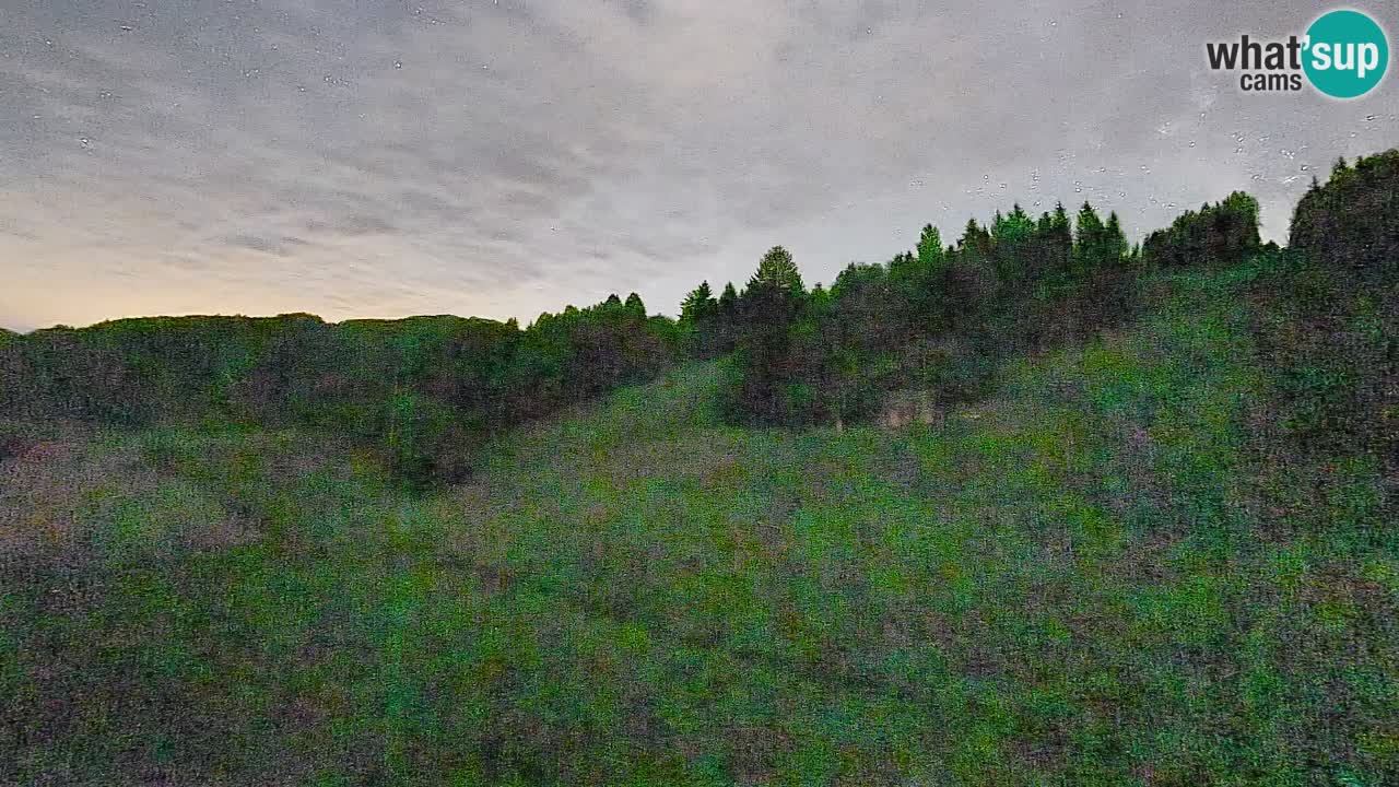 Webcam Smučišče Senožeta – Stazione sciistica a Srednja Vas vicino Bohinj
