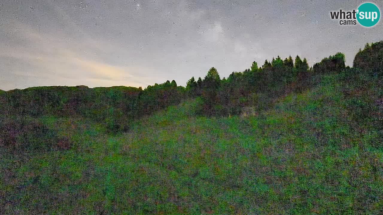 Webcam Smučišče Senožeta – Ski Resort Live View near Bohinj
