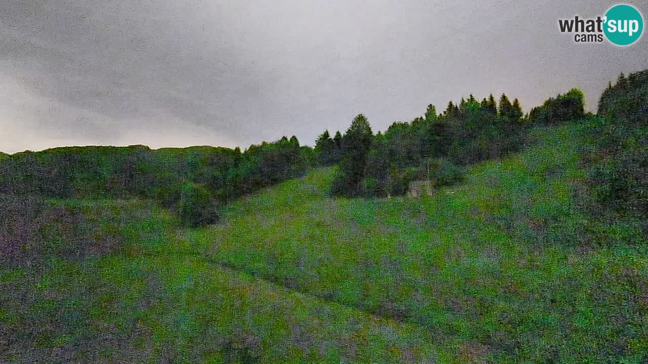 Cámara web Smučišče Senožeta – Estación de esquí en Srednja Vas cerca de Bohinj