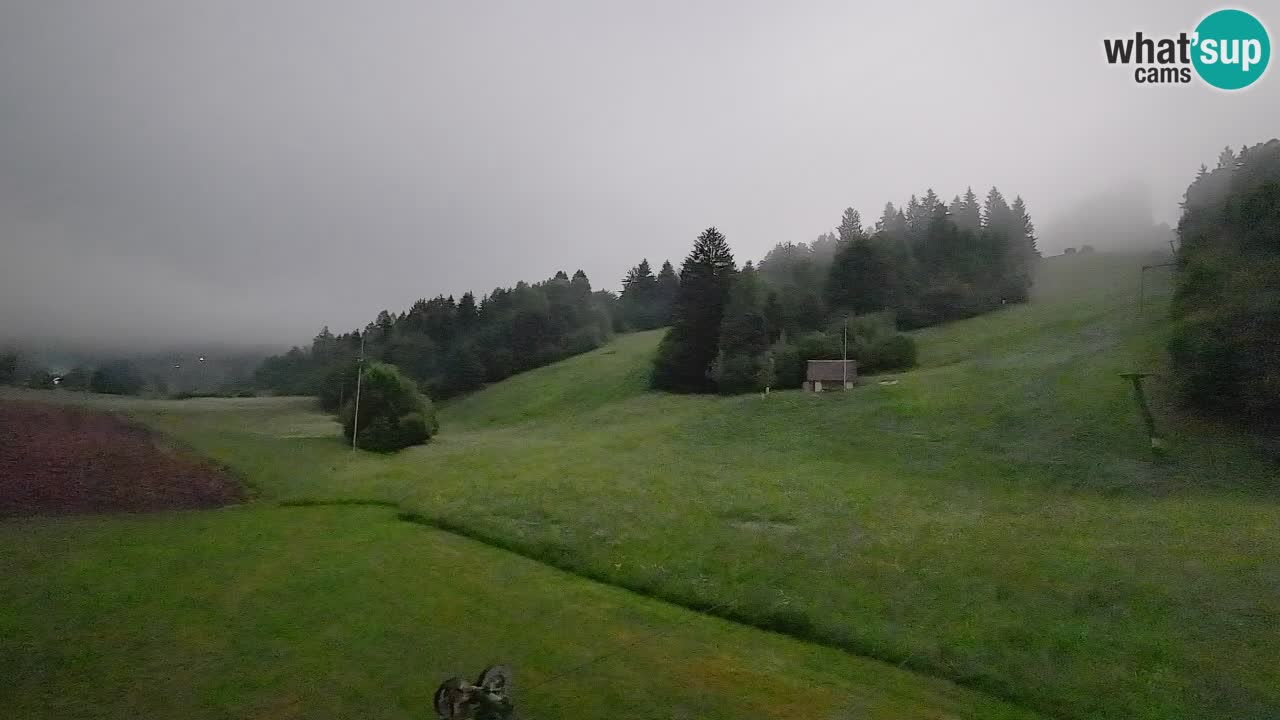 Webcam Smučišče Senožeta – Skigebiet in Srednja Vas bei Bohinj