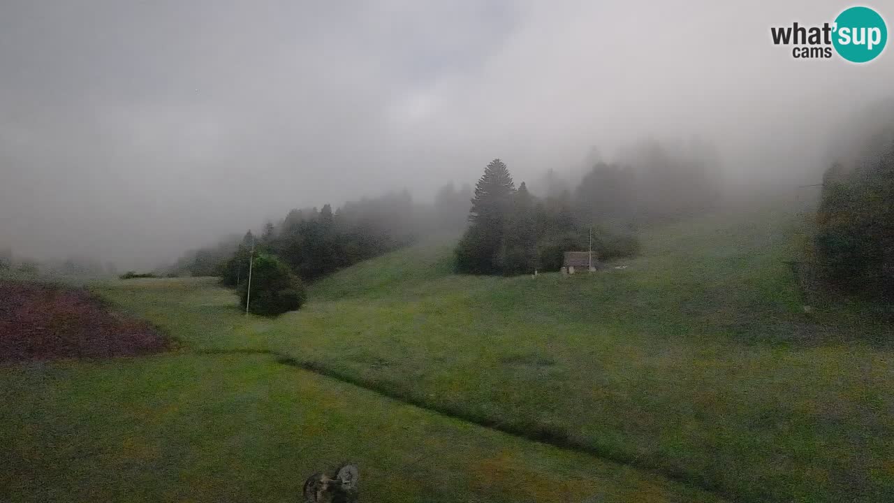 Spletna kamera Smučišče Senožeta – smučarsko središče v Srednji vasi pri Bohinju