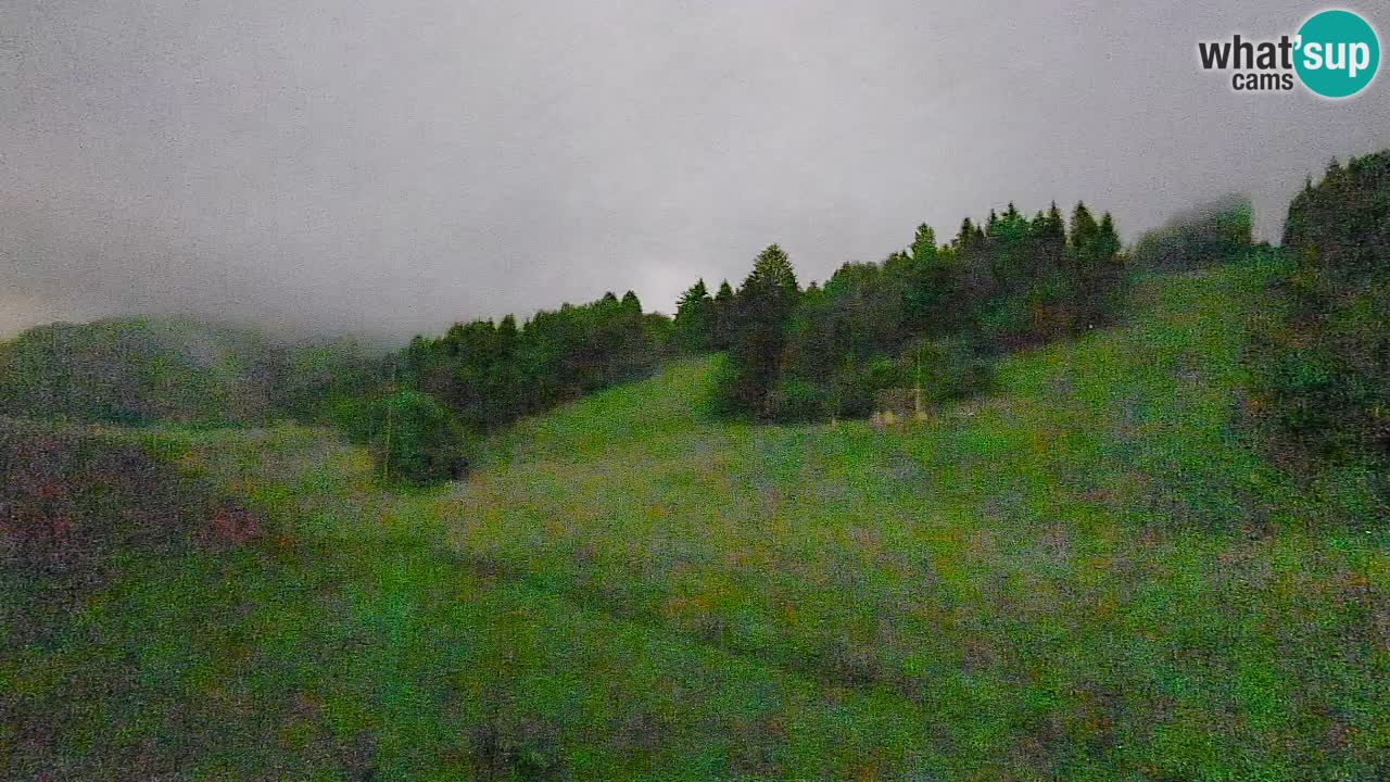 Webcam Smučišče Senožeta – Stazione sciistica a Srednja Vas vicino Bohinj