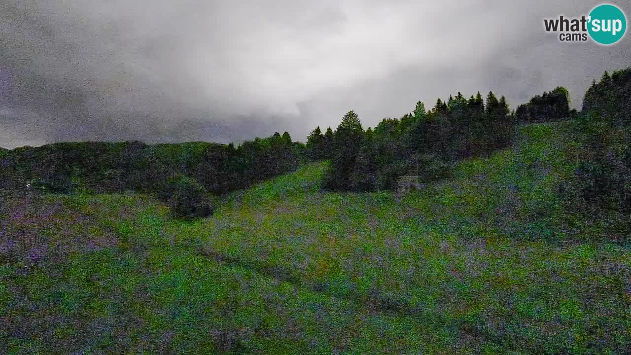 Webcam Smučišče Senožeta – Stazione sciistica a Srednja Vas vicino Bohinj