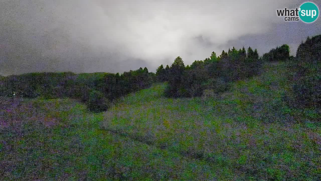 Webcam Smučišče Senožeta – Stazione sciistica a Srednja Vas vicino Bohinj