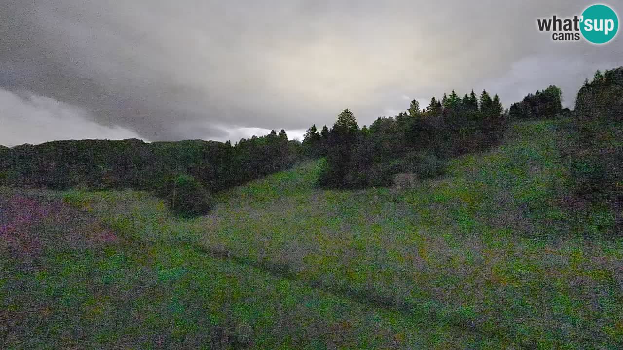 Webcam Smučišče Senožeta – Stazione sciistica a Srednja Vas vicino Bohinj