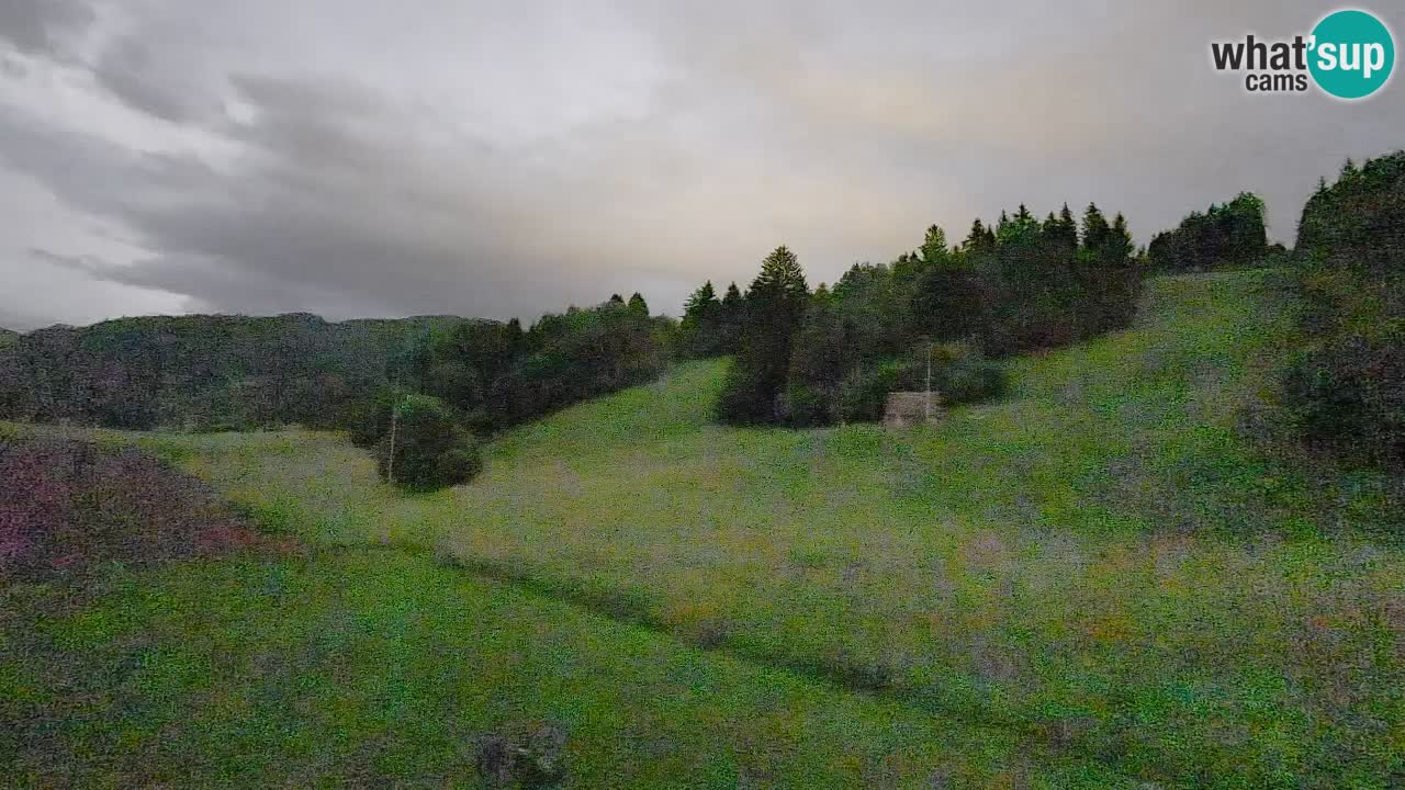 Cámara web Smučišče Senožeta – Estación de esquí en Srednja Vas cerca de Bohinj