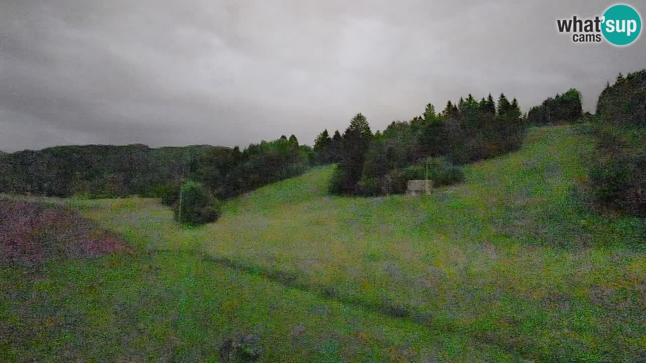 Cámara web Smučišče Senožeta – Estación de esquí en Srednja Vas cerca de Bohinj