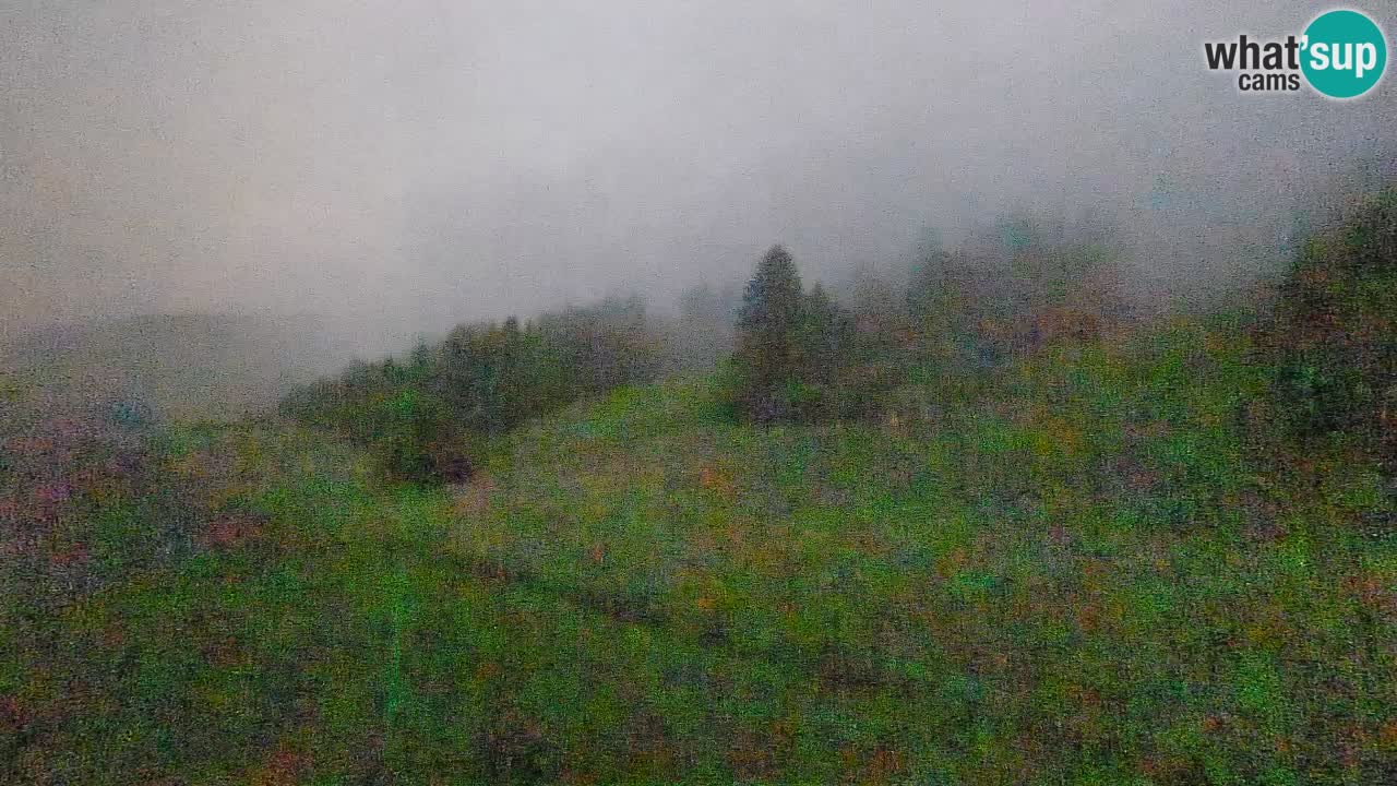 Webcam Smučišče Senožeta – Stazione sciistica a Srednja Vas vicino Bohinj