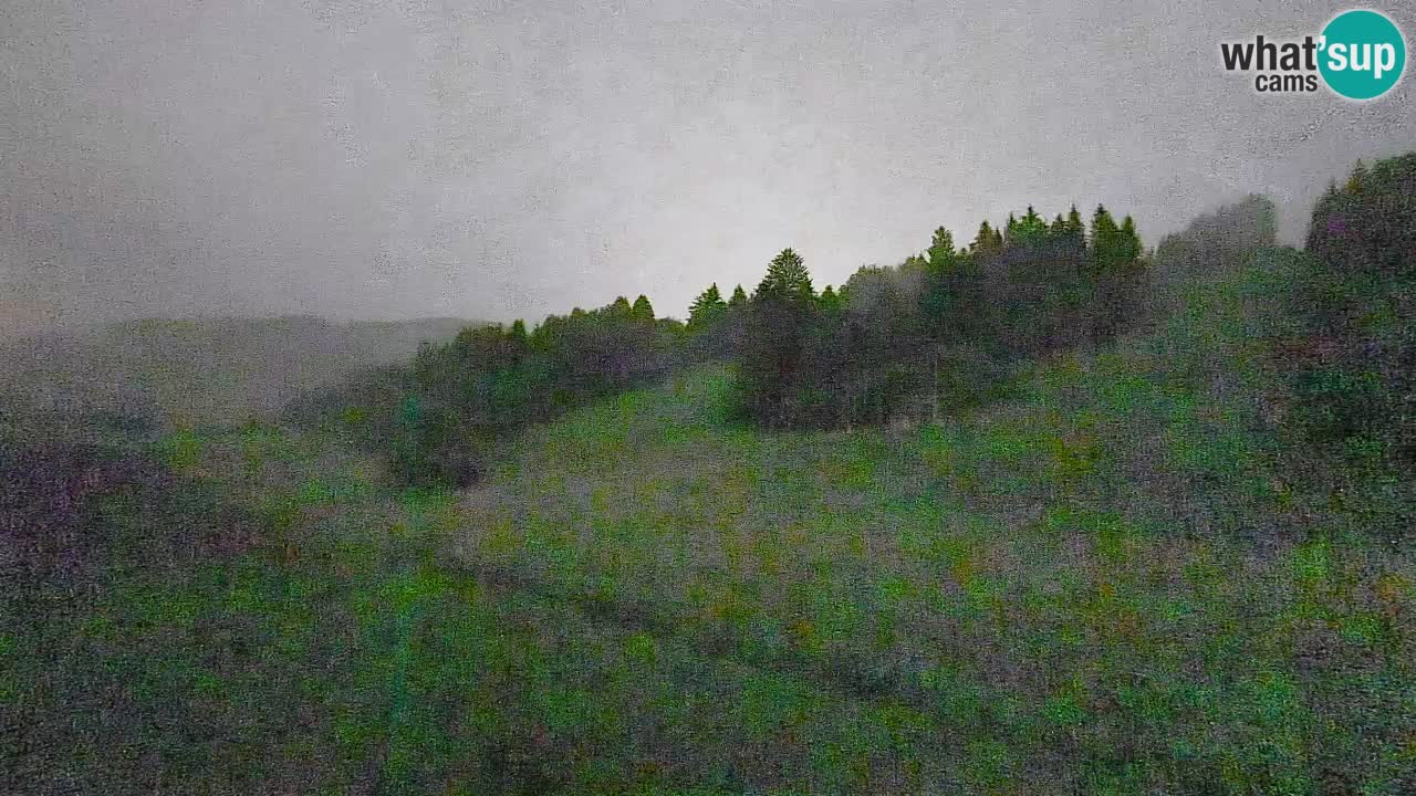 Web kamera Smučišče Senožeta – Skijalište u Srednjoj Vasi kod Bohinja