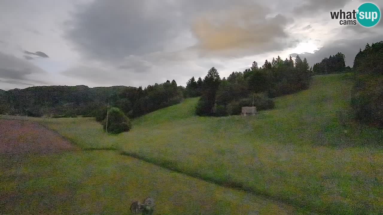 Spletna kamera Smučišče Senožeta – smučarsko središče v Srednji vasi pri Bohinju