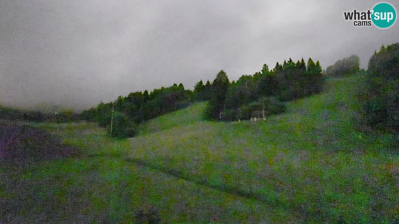 Webcam Smučišče Senožeta – Ski Resort Live View near Bohinj