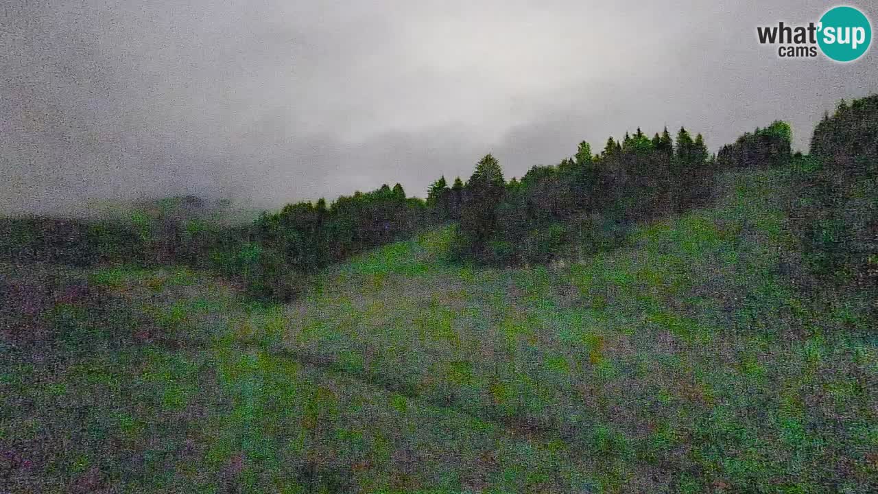 Webcam Smučišče Senožeta – Ski Resort Live View near Bohinj