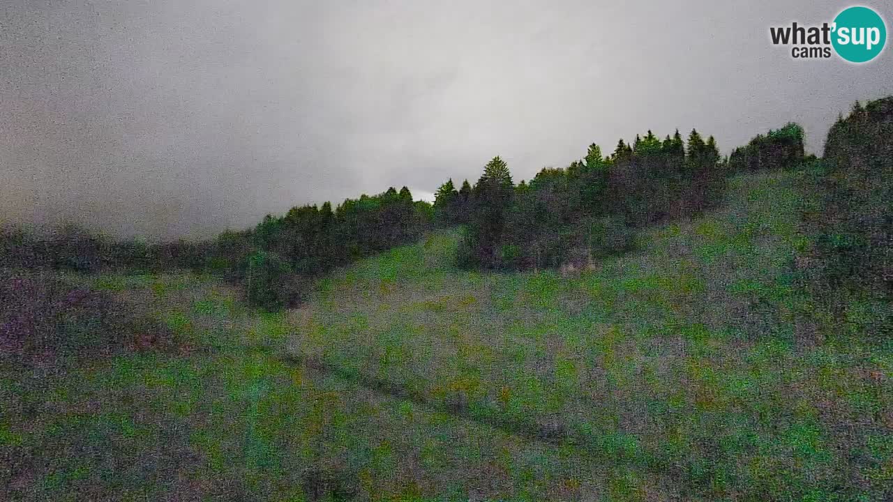 Webcam Smučišče Senožeta – Ski Resort Live View near Bohinj