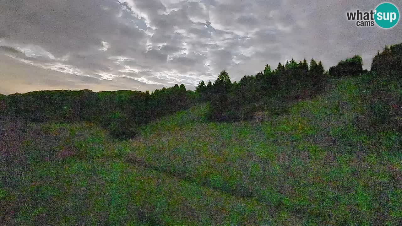 Spletna kamera Smučišče Senožeta – smučarsko središče v Srednji vasi pri Bohinju