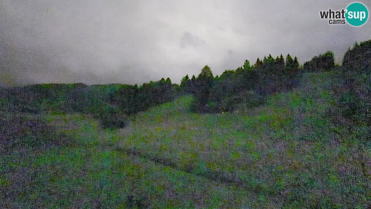 Webcam Smučišče Senožeta – Ski Resort Live View near Bohinj