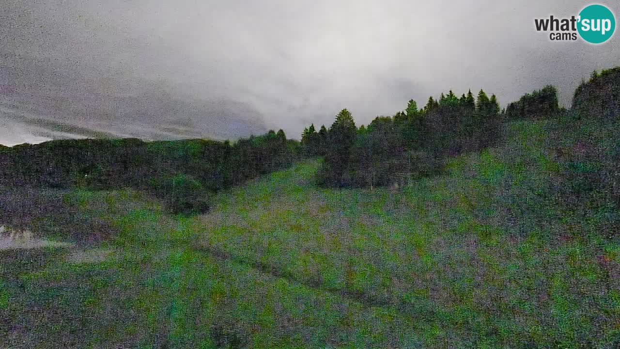 Webcam Smučišče Senožeta – Ski Resort Live View near Bohinj