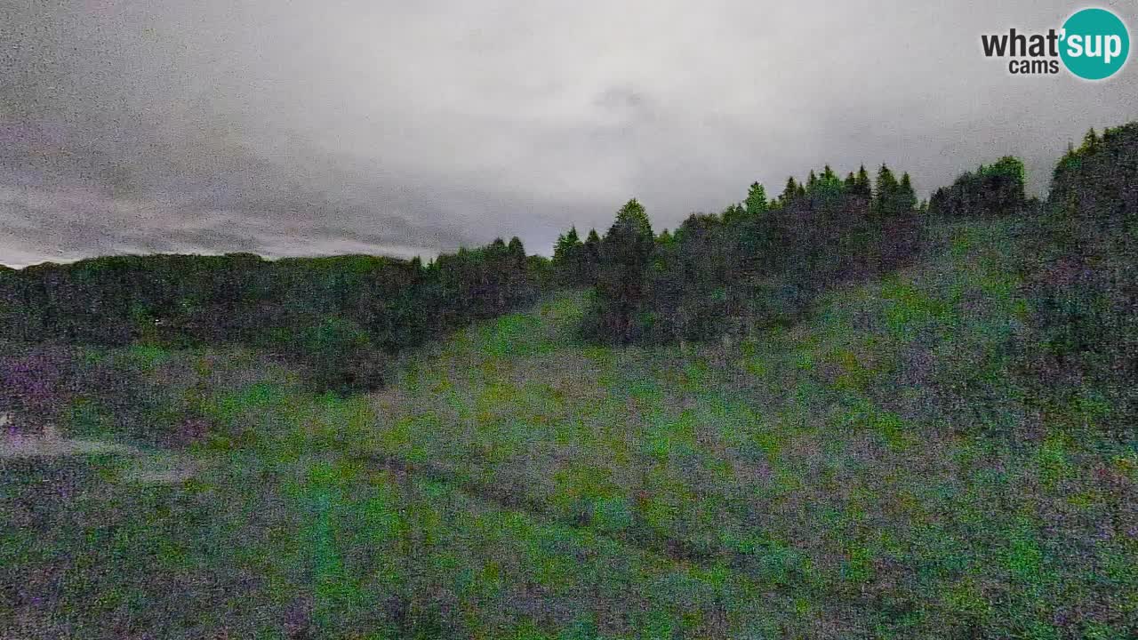 Webcam Smučišče Senožeta – Ski Resort Live View near Bohinj