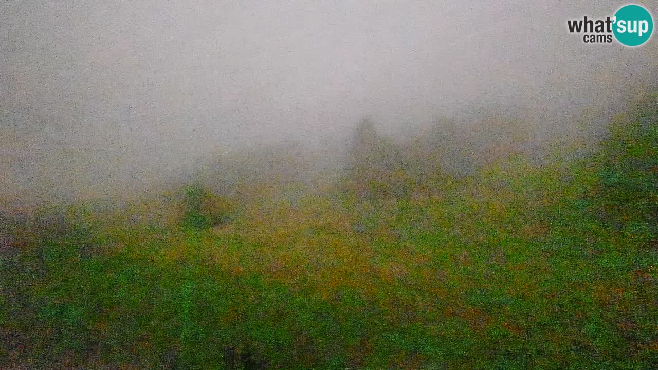 Webcam Smučišče Senožeta – Stazione sciistica a Srednja Vas vicino Bohinj