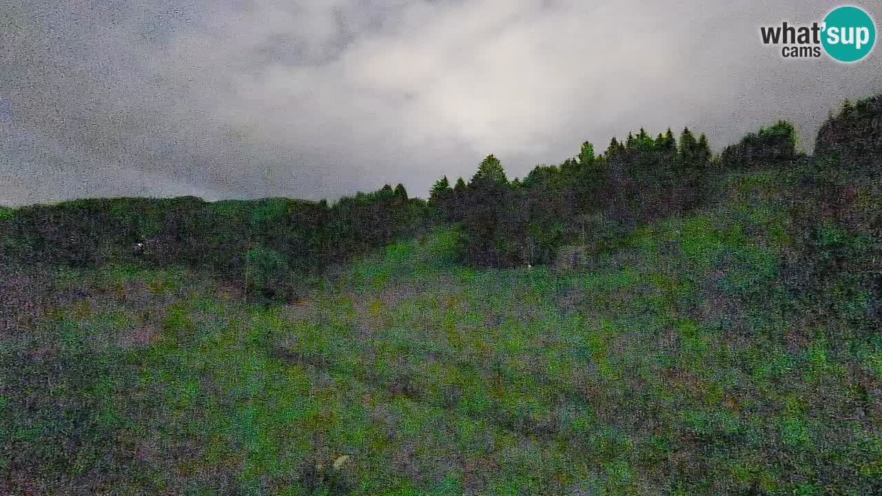 Webcam Smučišče Senožeta – Ski Resort Live View near Bohinj