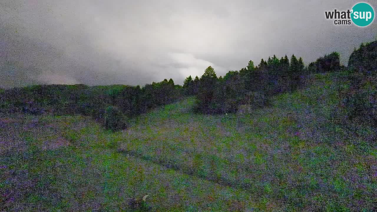 Webcam Smučišče Senožeta – Ski Resort Live View near Bohinj