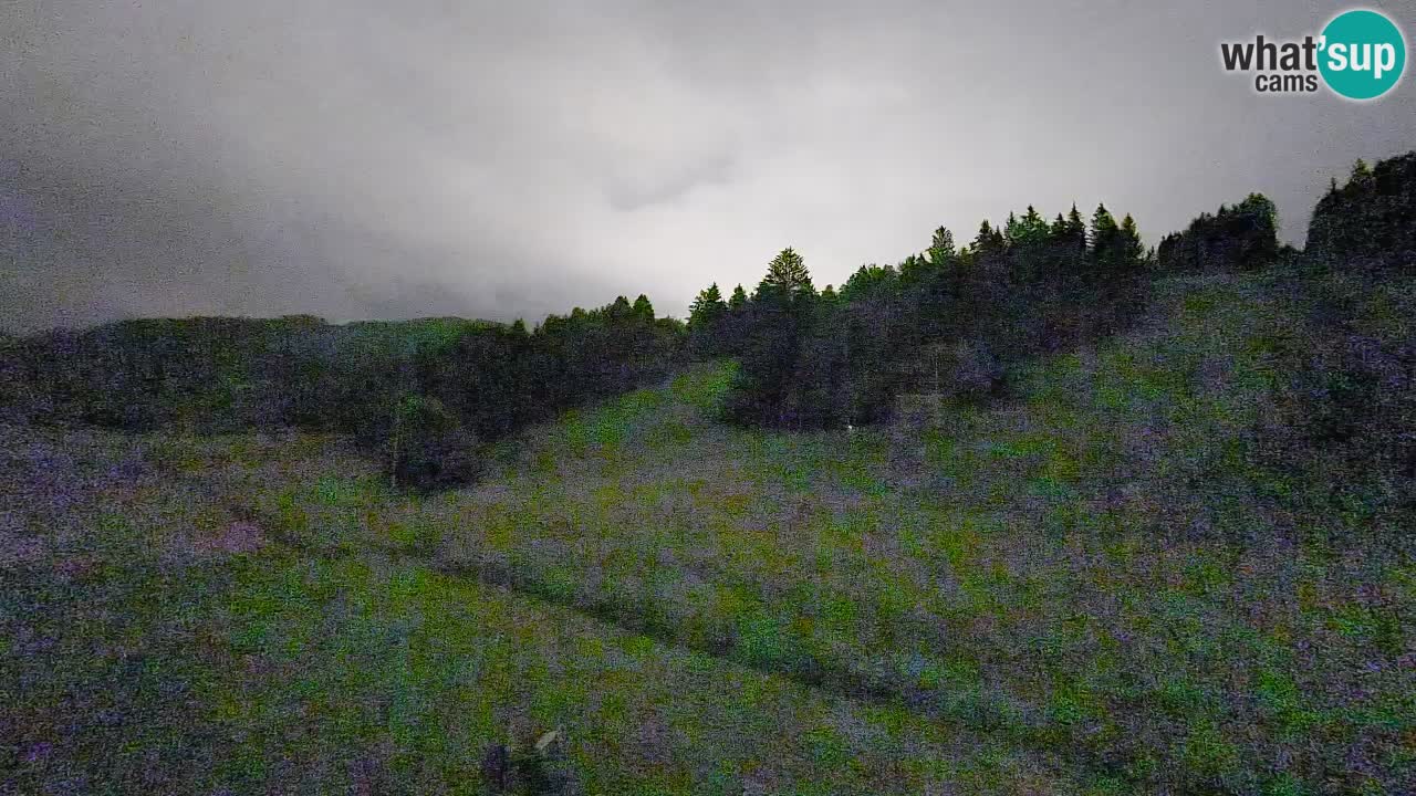 Webcam Smučišče Senožeta – Ski Resort Live View near Bohinj