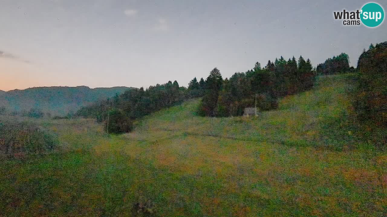 Webcam Smučišče Senožeta – Ski Resort Live View near Bohinj