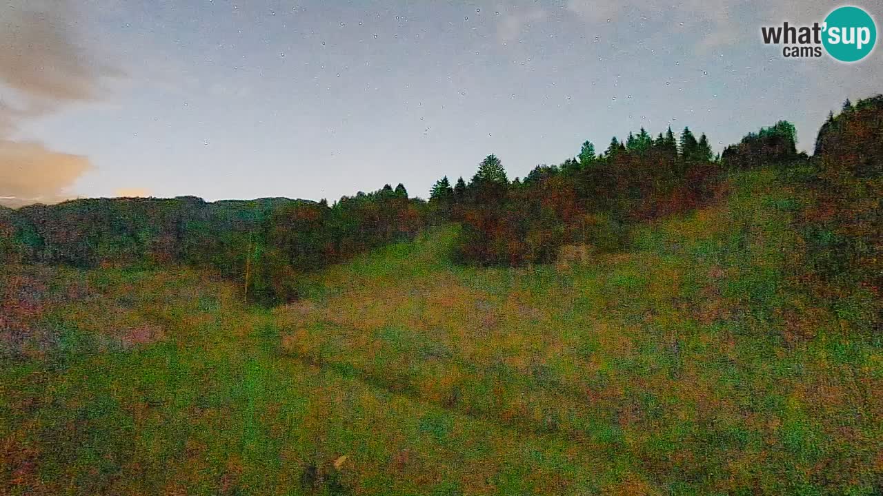 Web kamera Smučišče Senožeta – Skijalište u Srednjoj Vasi kod Bohinja