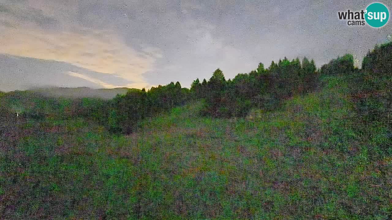 Webcam Smučišče Senožeta – Ski Resort Live View near Bohinj