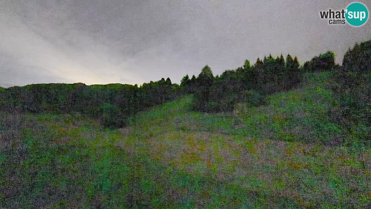 Webcam Smučišče Senožeta – Stazione sciistica a Srednja Vas vicino Bohinj