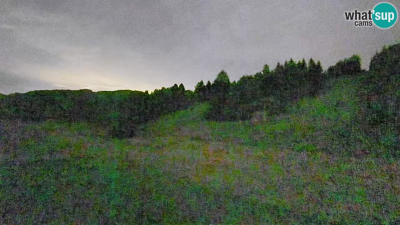 Web kamera Smučišče Senožeta – Skijalište u Srednjoj Vasi kod Bohinja