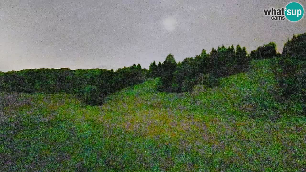 Webcam Smučišče Senožeta – Stazione sciistica a Srednja Vas vicino Bohinj