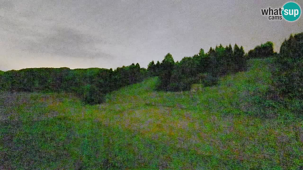 Spletna kamera Smučišče Senožeta – smučarsko središče v Srednji vasi pri Bohinju