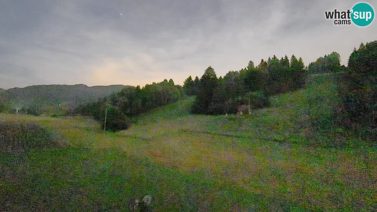 Webcam Smučišče Senožeta – Ski Resort Live View near Bohinj