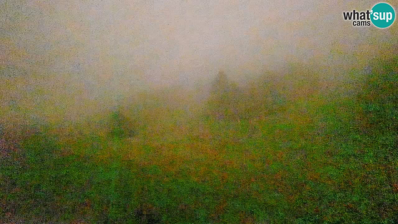 Webcam Smučišče Senožeta – Stazione sciistica a Srednja Vas vicino Bohinj