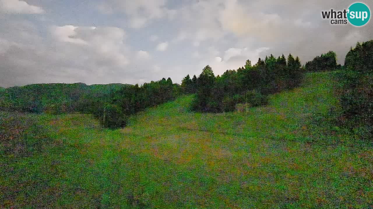 Webcam Smučišče Senožeta – Stazione sciistica a Srednja Vas vicino Bohinj