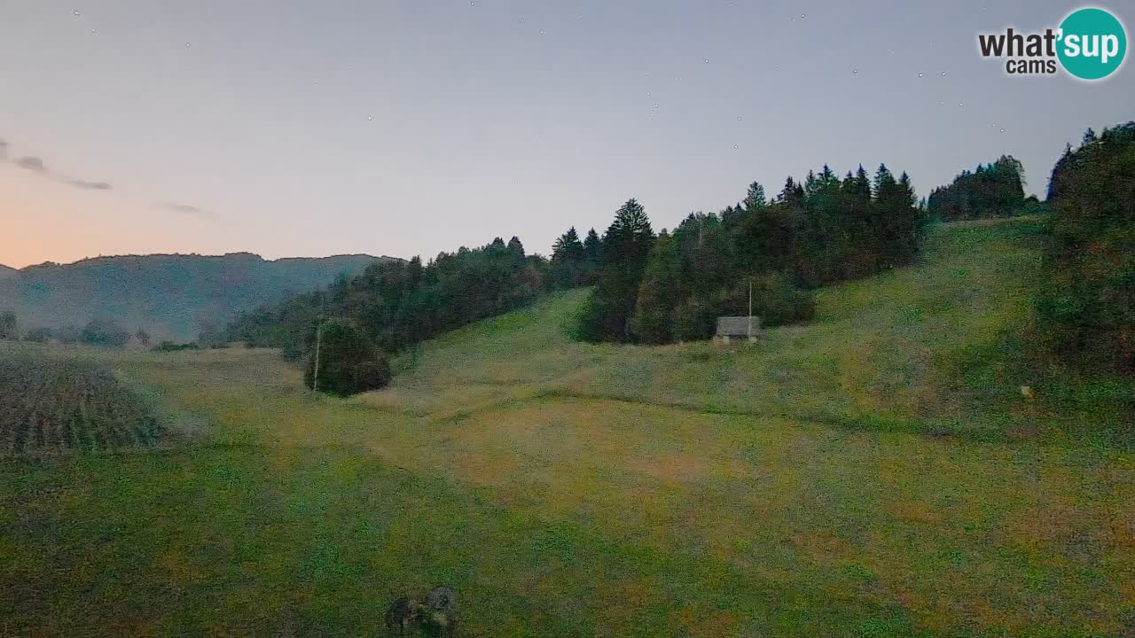 Webcam Smučišče Senožeta – Station de ski à Srednja Vas près de Bohinj
